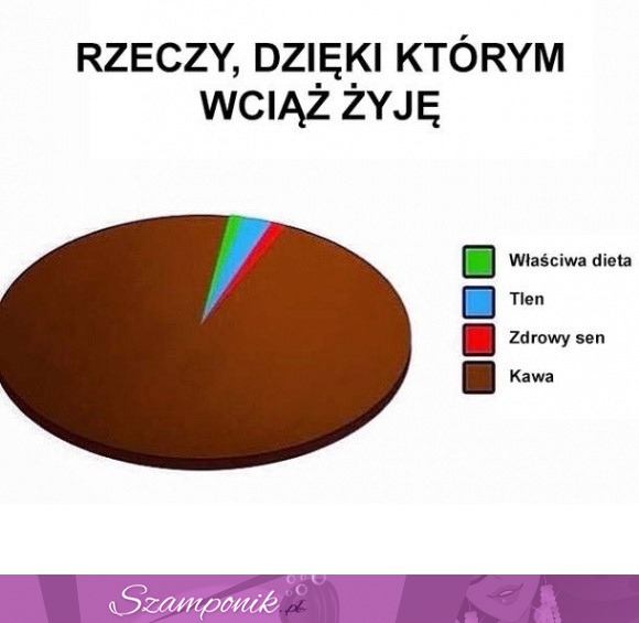 Dzieki czemu wciąż żyje ;)