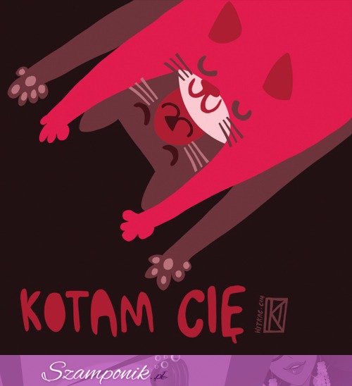 KOTAM CIĘ <3