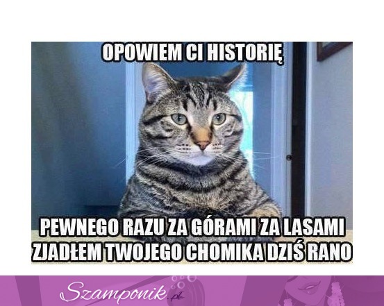 Opowiem ci historię