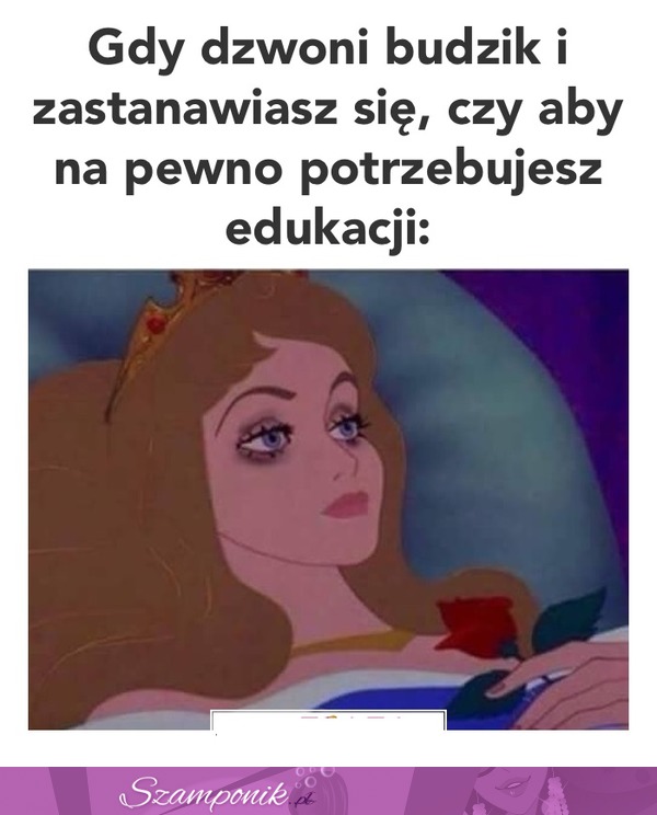 Gdy dzwoni budzik