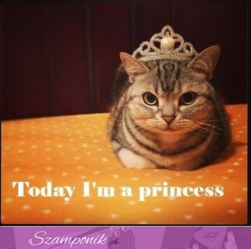 Ja jestem księżniczką