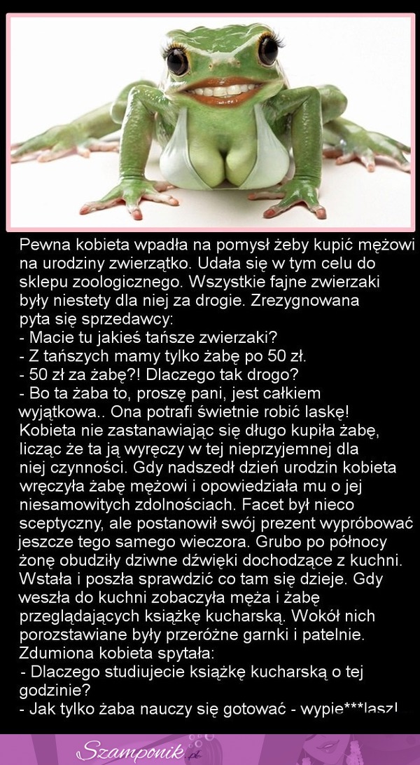 Żona kupiła mężowi żabę na urodziny! Sprawdź dlaczego, POLEWA ;D