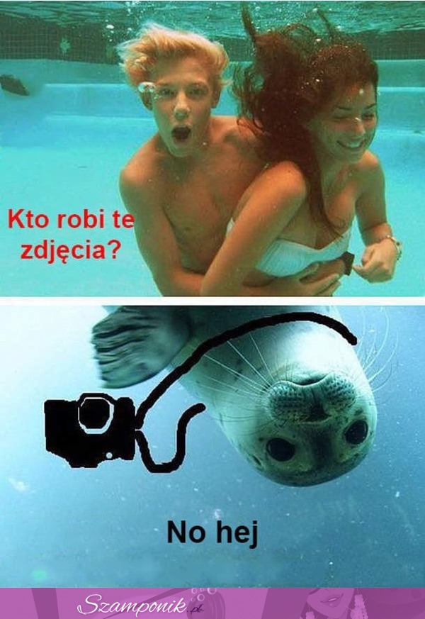 Kto robi zdjęcia...