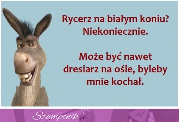 Rycerz na białym koniu