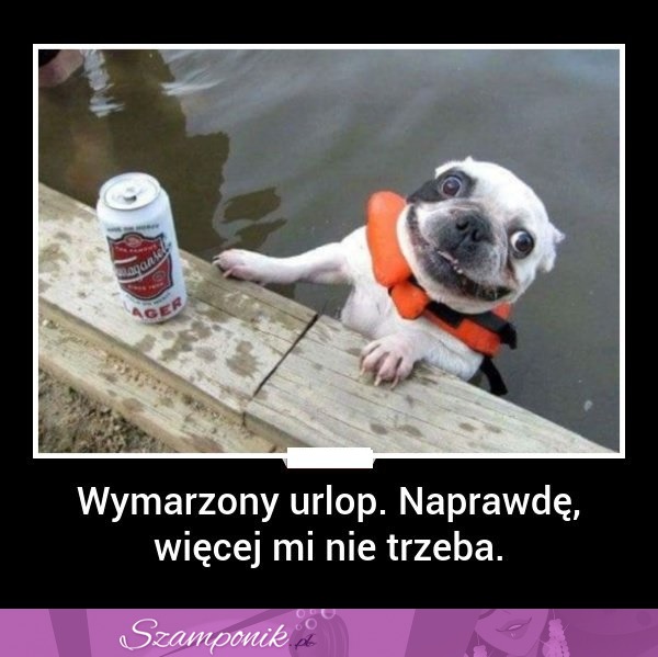 Wymarzony urlop