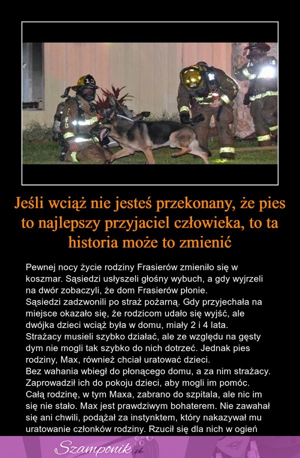 Jeśli wciąż nie jesteś przekonany, że pies to najlepszy przyjaciel człowieka, to ta historia może to zmienić!