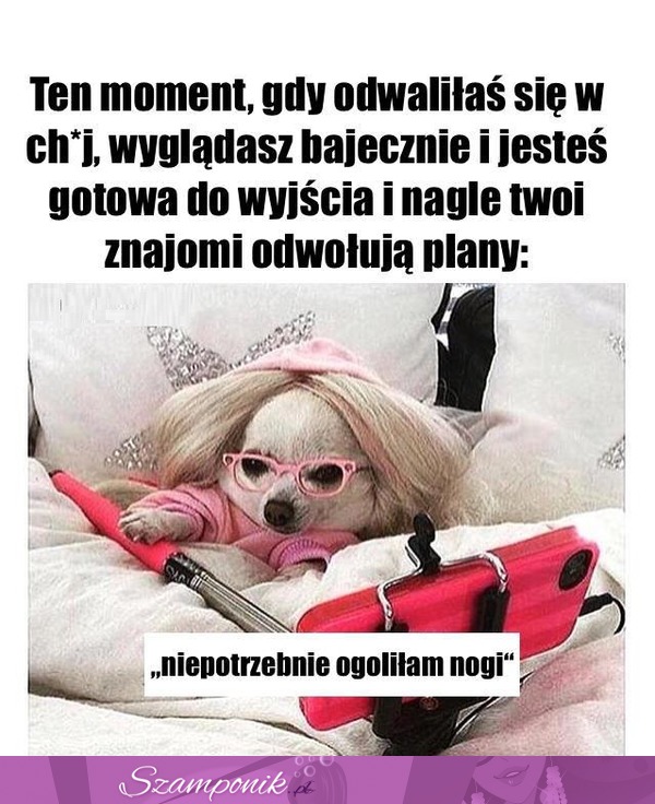 A wyglądam tak bajecznie ;D