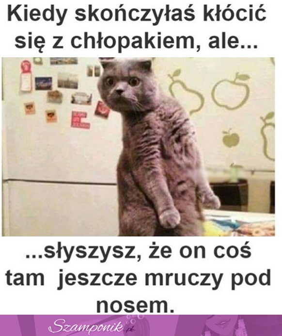 Co Ty tam jeszcze mówisz!