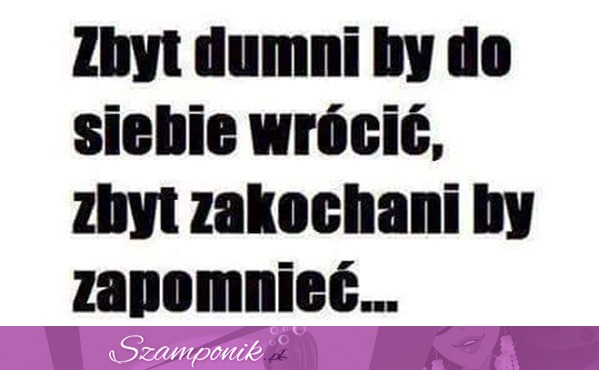 Zbyt dumni by do siebie...