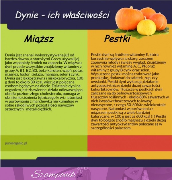 Dynie i ich właściwości :)