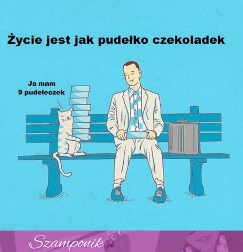 Życie jest jak pudełko czekoladek