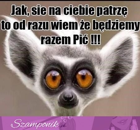 Jak się na Ciebie patrze...