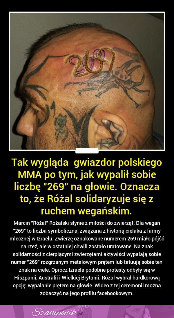GWIAZDOR polskiego MMA WYPALIŁ sobie liczbę 269 na głowie. ZOBACZ dlaczego!