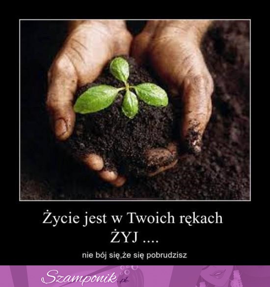 Życie jest w twoich rękach