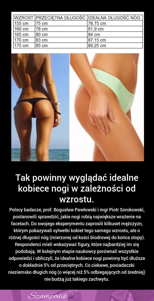 W zależności od WZROSTU tak powinny wyglądać KOBIECE NOGI!