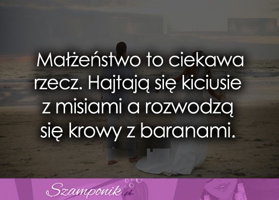 Małżeństwo to ciekawa rzecz