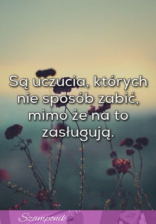 Są uczucia, których nie sposób...