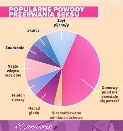 POPULARNE POWODY PRZERWANIA SEKSU! Haha, zobacz to koniecznie!