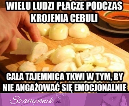 Cebula inaczej