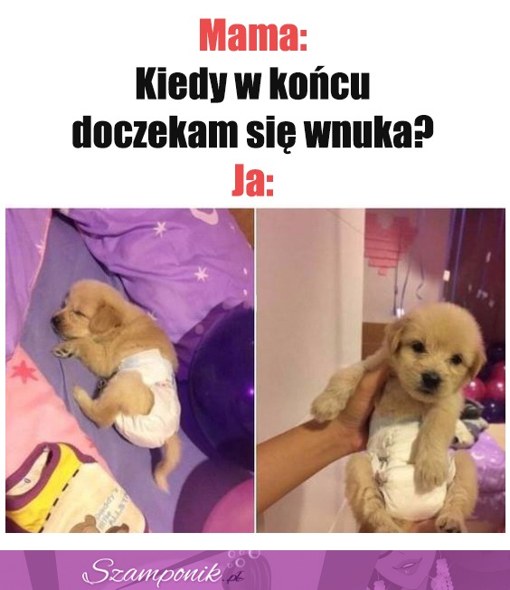 Tak, jak chciałaś.