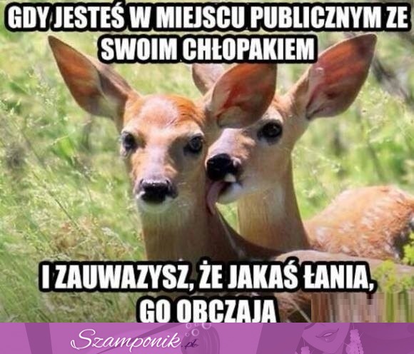 Sorry on jest mój ;P