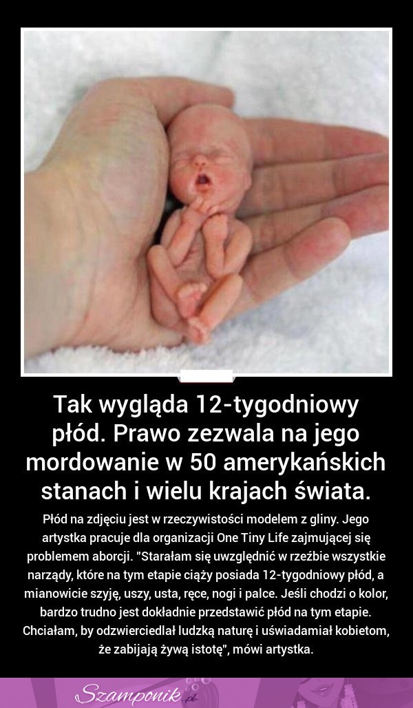 Tak wygląda 12-tygodniowy płód a PRAWO zezwala na jego MORDOWANIE!