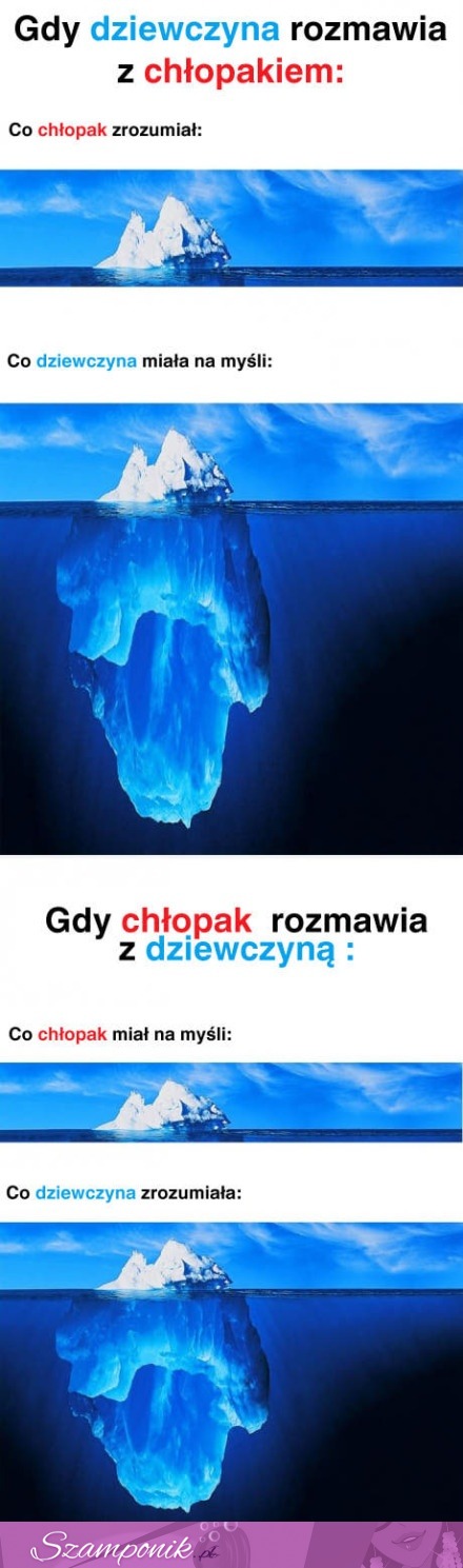 Jak wygląda rozmowa dziewczyny z chłopakiem i co które z nich zrozumiało? Prawdziwe! ;D