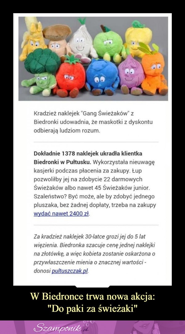 Kradzież naklejek "Gang Świeżaków" z Biedronki udowadnia, że maskotki z dyskontu odbierają ludziom rozum