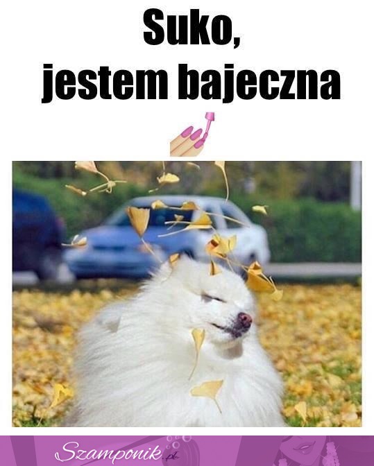 Jestem bajeczna