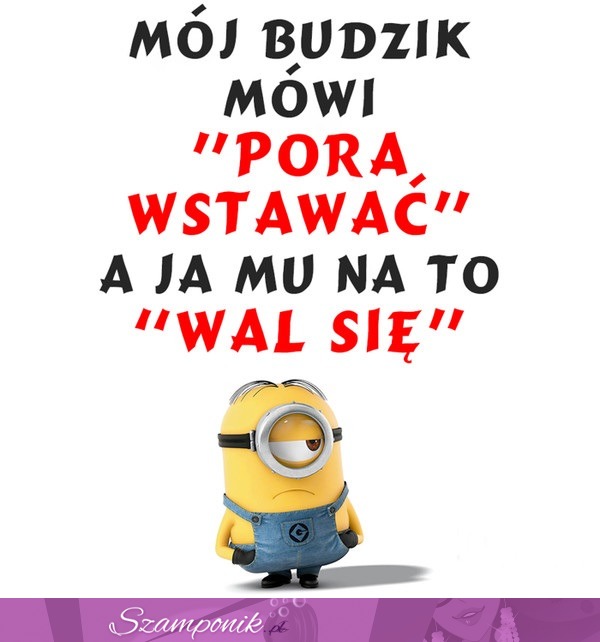 Zawsze rano