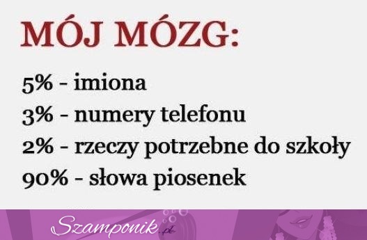 Mój mózg