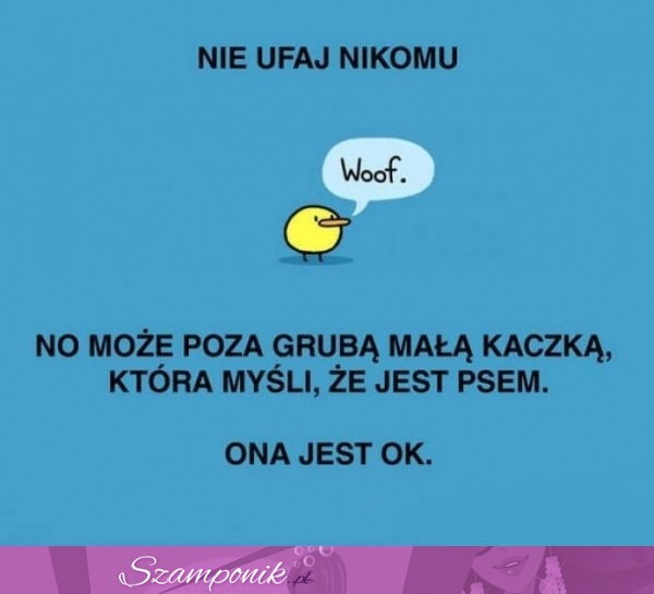 Nie ufaj nikomu