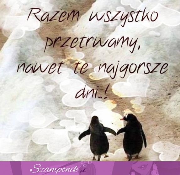 Razem wszystko przetrwamy