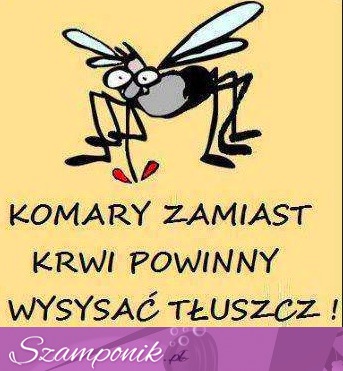 Komary