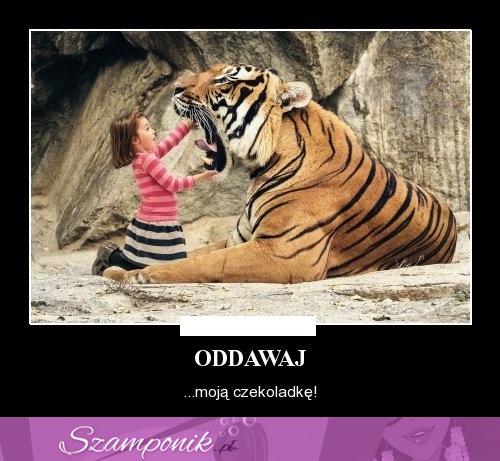 Oddawaj