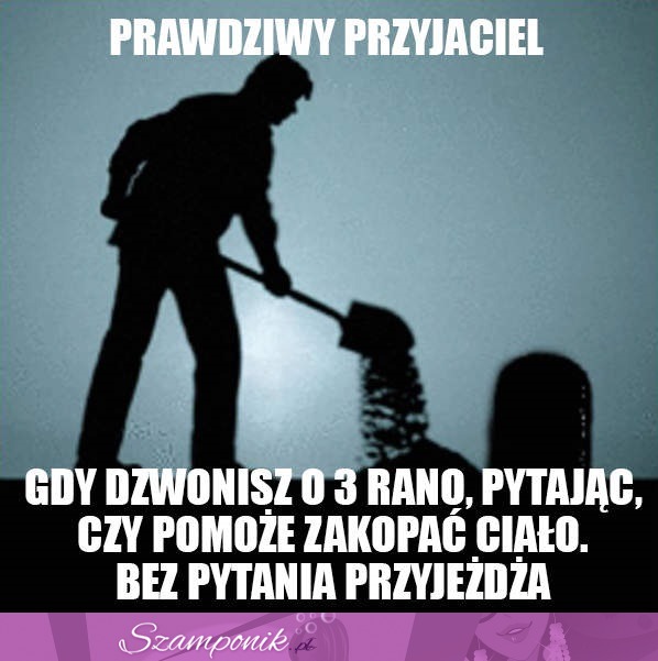 Prawdziwy PRZYJACIEL!