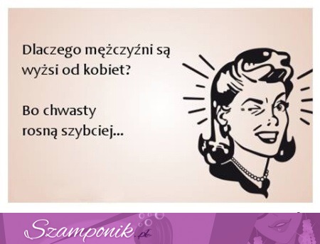 I wszystko jasne ;D