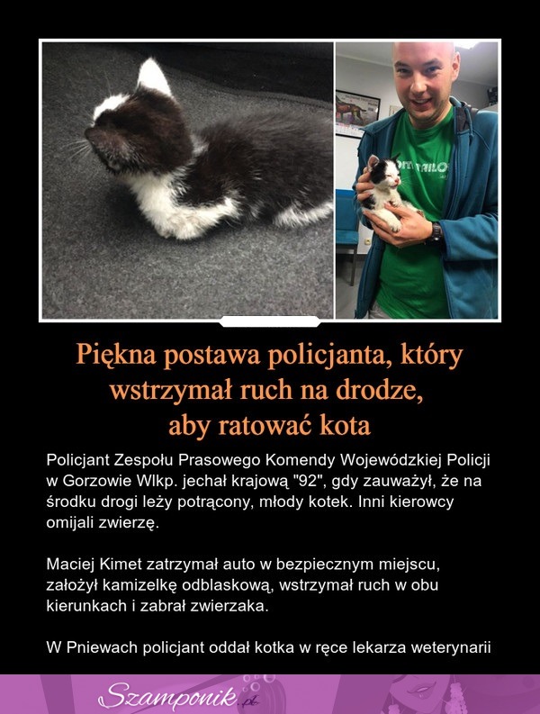 Piękna postawa policjanta, który wstrzymał ruch na drodze, aby ratować kota!