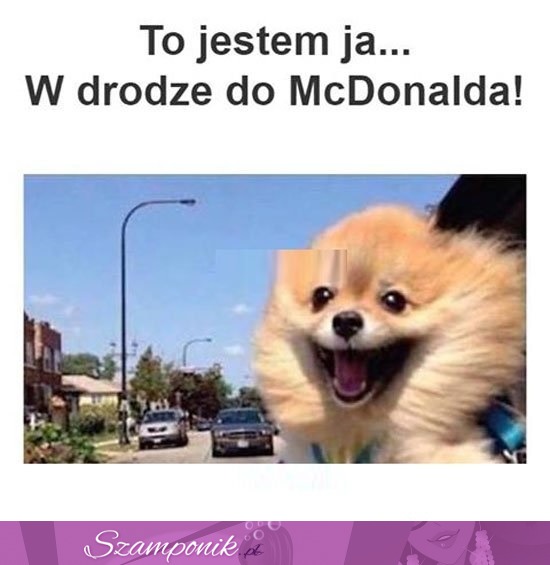 To ja ;)