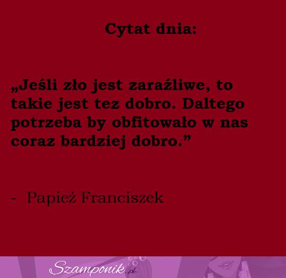 Cytat dnia