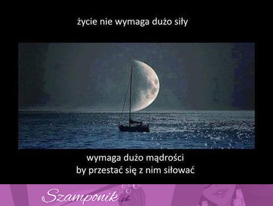 Życie nie wymaga...