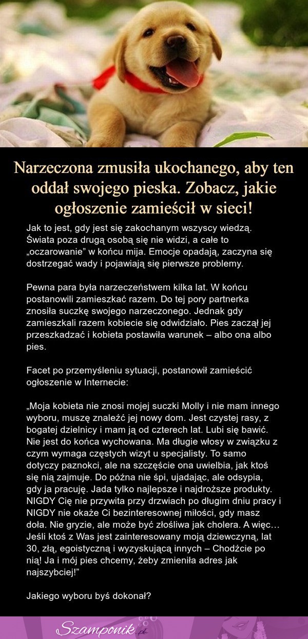 Narzeczona zmusiła ukochanego, aby oddał pieska. Zobacz co w tej sytuacji zrobił ;)