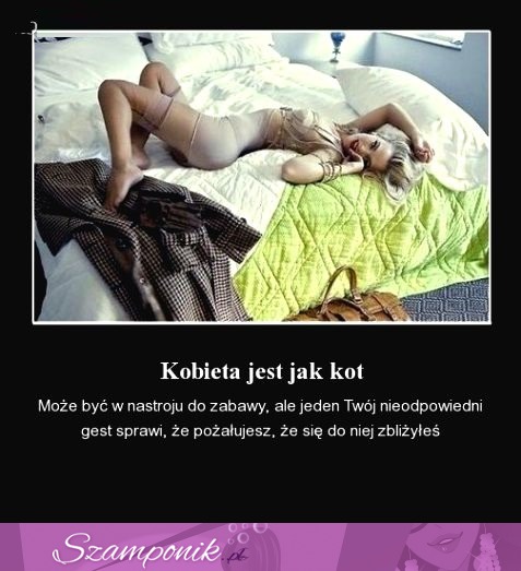 Kobieta jest jak KOT- zobacz dlaczego