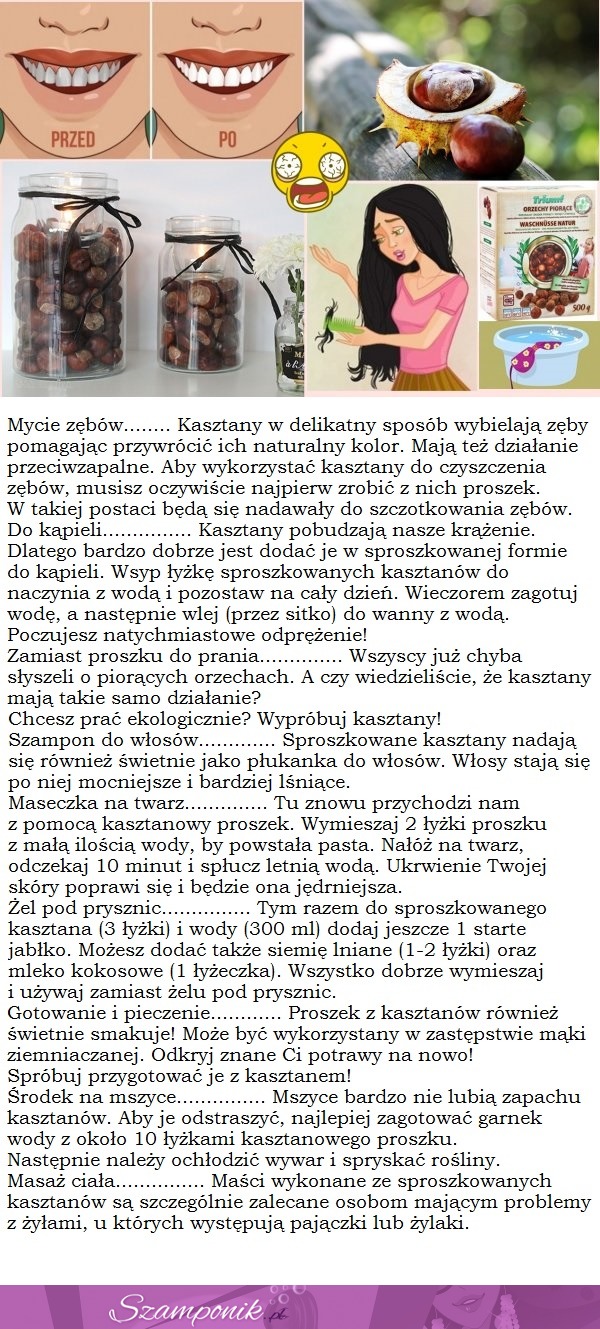 10 genialnych zastosowań kasztanów...