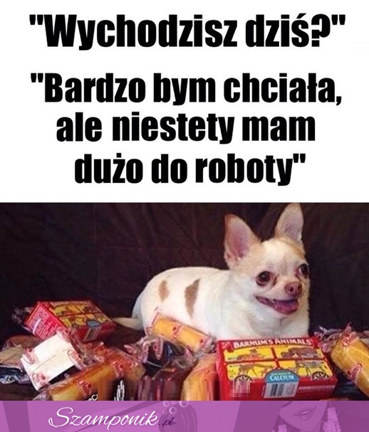 Mega ważne plany mam ;)