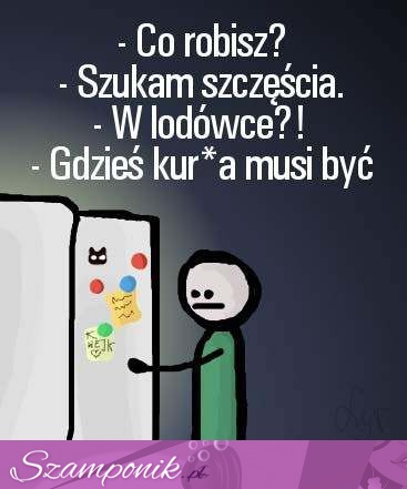 Szczęście w lodówce ;)