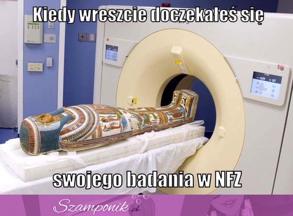 Szkoda, żeby się zmarnowało