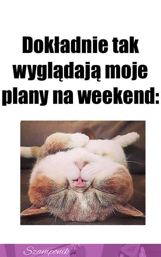 Tak wyglądają moje plany na weekend