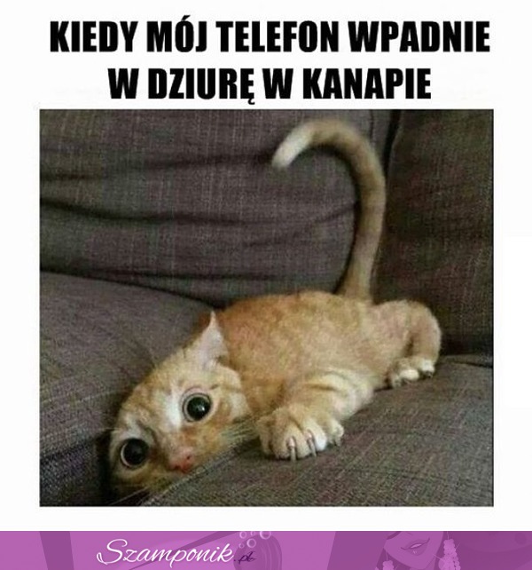 Mój telefon!