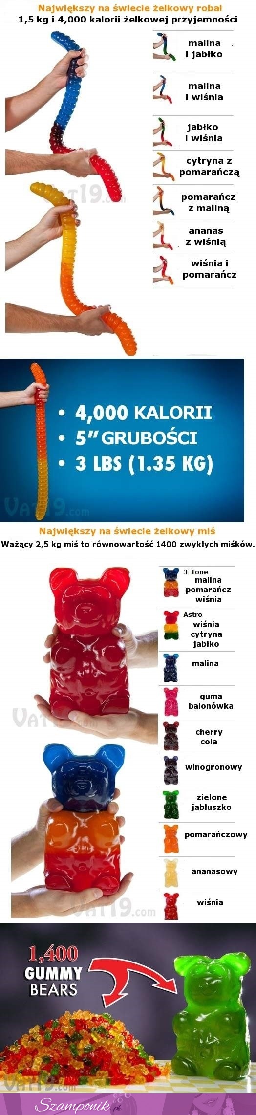 Największy na świecie żelkowy robal!